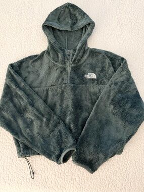 The North Face Women's Osito Quarter Zip Crop Hoodie Green